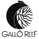 galloreef.com